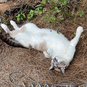 Meet your Posher, Walker